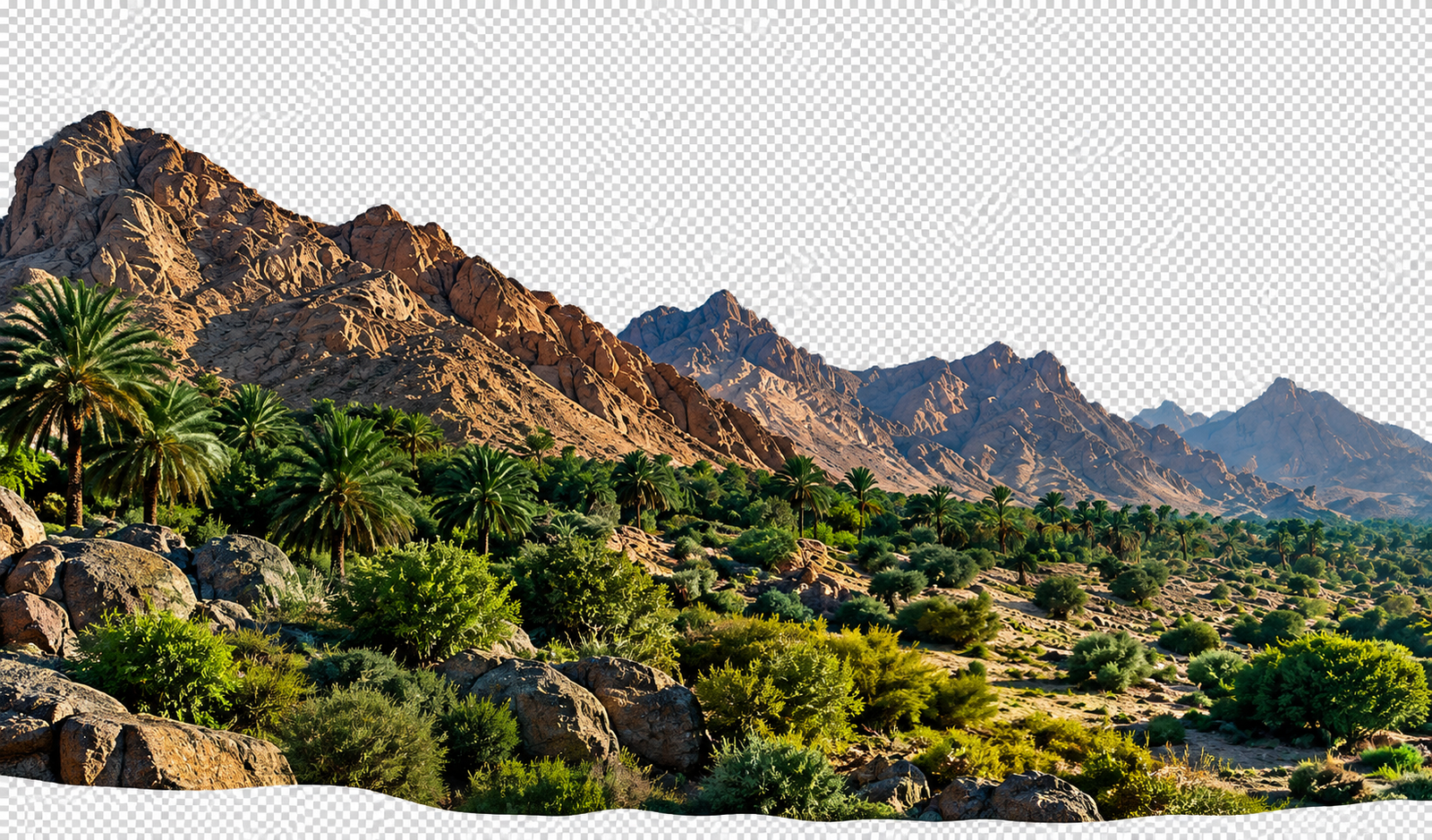 جبال وواحات المملكة